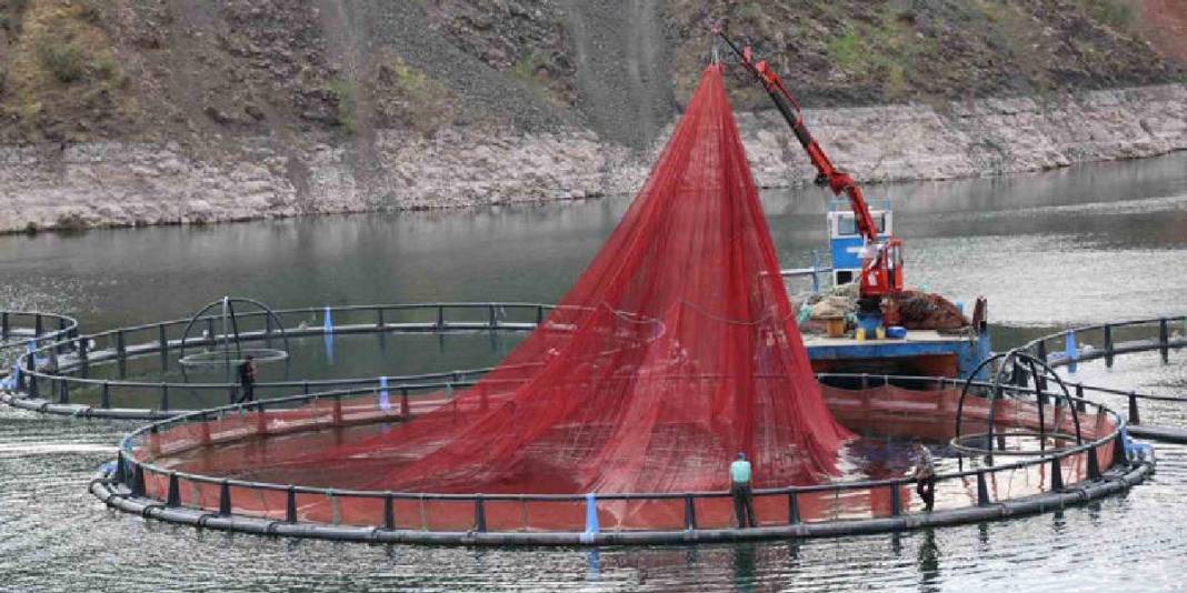 Diyarbakır’dan dünyaya “Mezopotamya somonu” ihracatı! 500 ton üretim kapasitesi var: 1 yılda büyük başarı 1